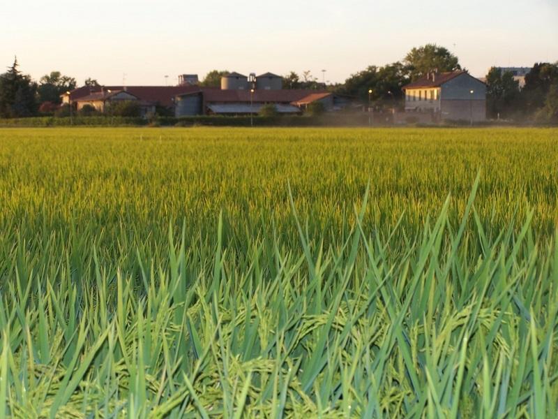 Cascina Battivacco Villa Milano Exteriör bild