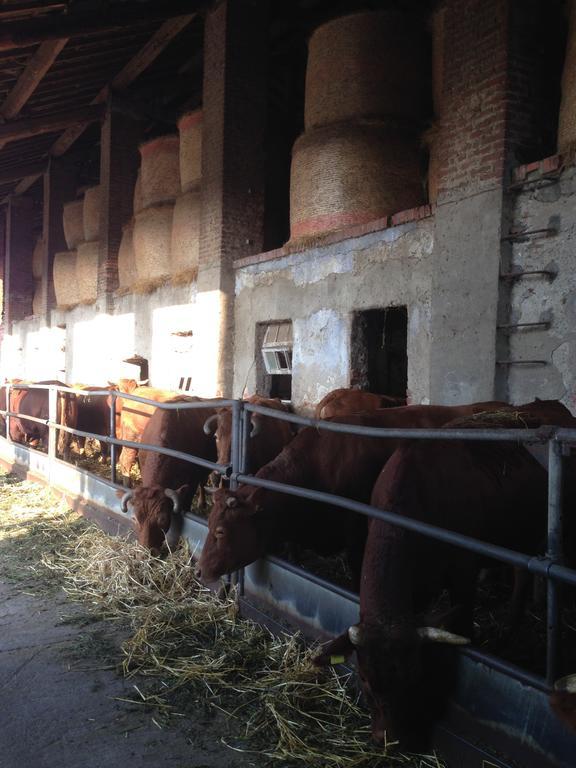 Cascina Battivacco Villa Milano Exteriör bild